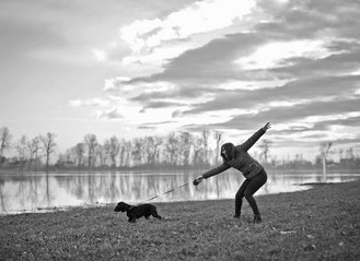 dog leash training dog pulling the leash