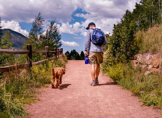 Leash free dog training Greenville, SC Man walking dog on trail