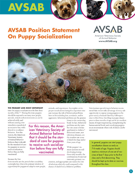 coverAVSAB_Puppy-Socialization-Position-Statement-FINAL-1 Puppies & Socialization