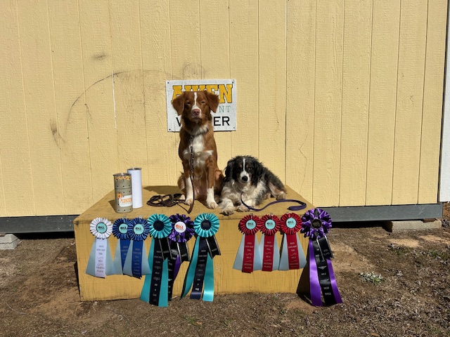 image8 megan shevlin, assistant dog trainer and Leo