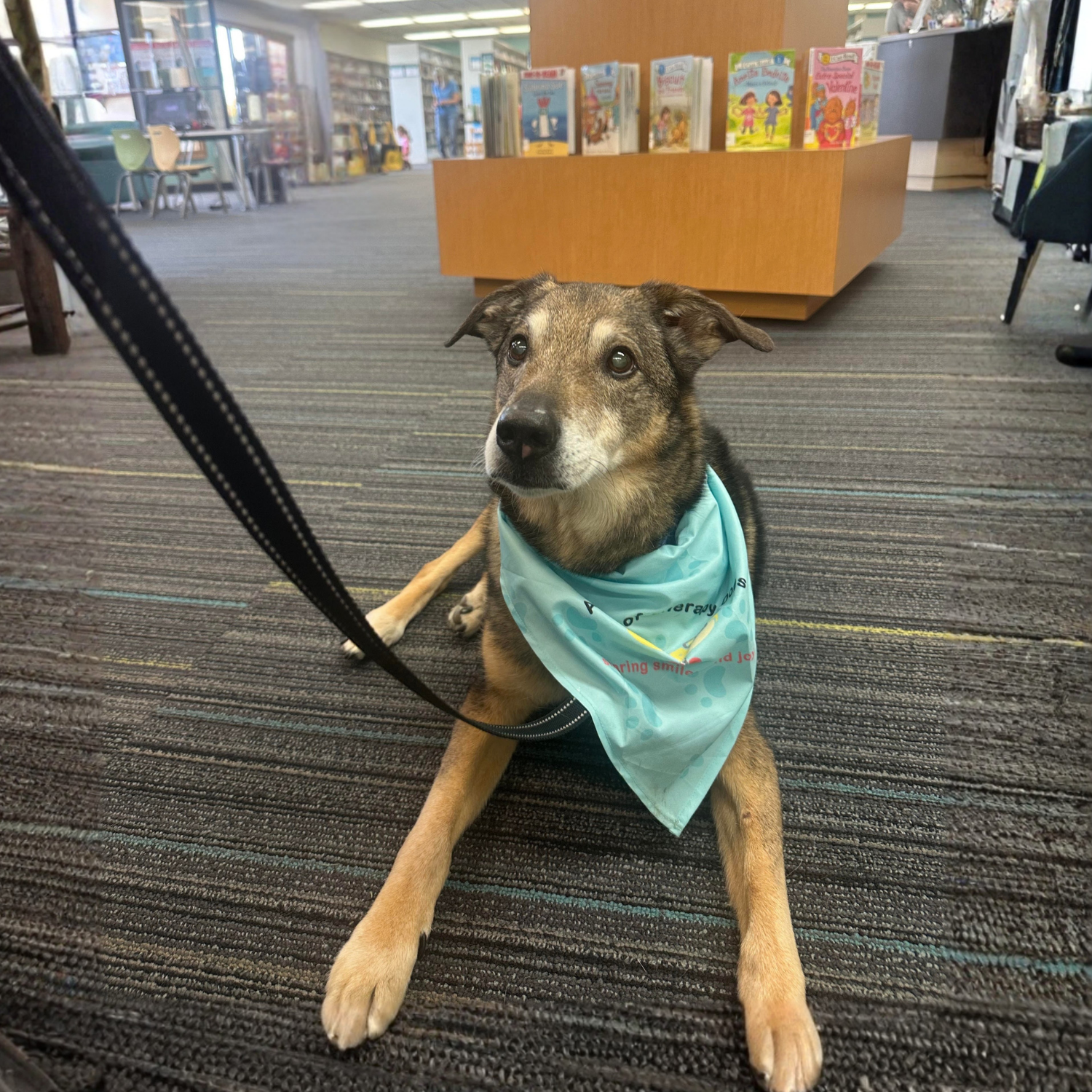 opie megan shevlin, assistant dog trainer and Leo